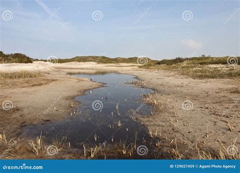 Natuurgebied Texel, Nature Reserve Texel Stock Image - Image of duin ...