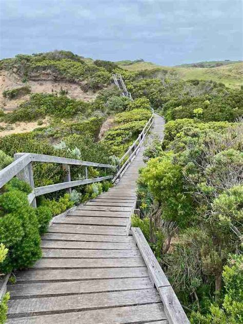 Guide to Cape Otway, Great Otways National Park - Great Ocean Road | BPTRV