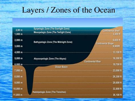 PPT - Ocean Layers PowerPoint Presentation, free download - ID:3085453