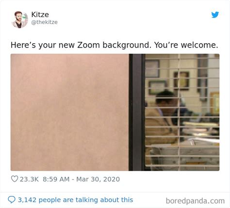 35 Best Posts About The Everyday Realities Of Zoom Meetings | Bored Panda