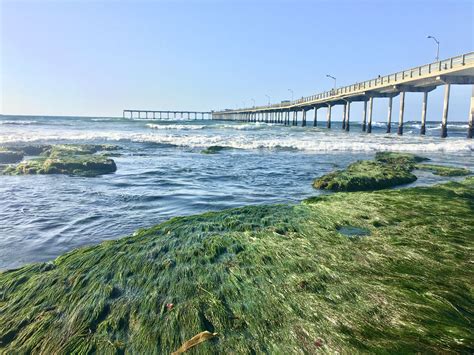 Low tide ocean beach, California | Ocean beach, San diego, California