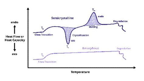 What a DSC Test of a Polymer Can Discover