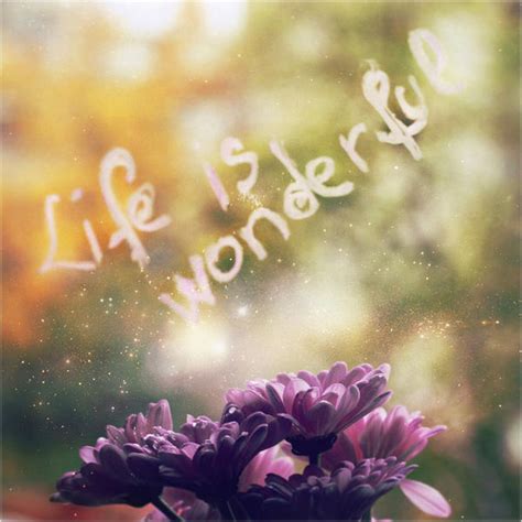 Quotes My Life Is Wonderful. QuotesGram