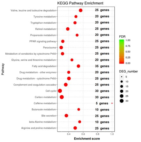 Enrichment analysis of KEGG signaling pathway of differentially ...