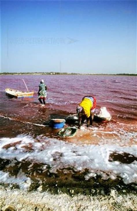 Amazing Pink Salt Lake in Senegal