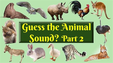 Guess the animal sound part-2/animal trivia/Animal Sound Quiz game/adivina el sonido animal ...