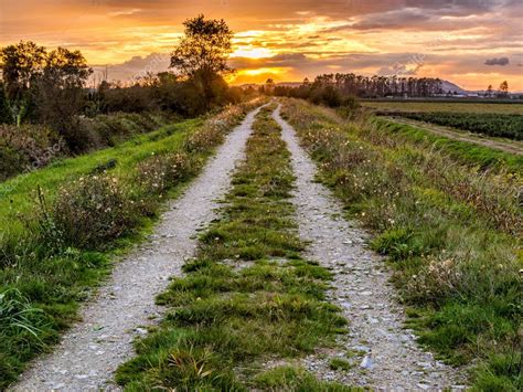 Dirt Road Path Leading to Sunset Stock Photo by ©JamesWheeler 32454497