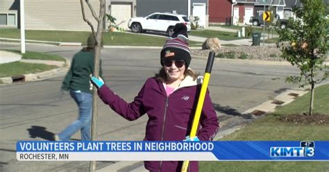 Rochester Parks and Rec and volunteers team up to plant over 100 trees in NW neighborhood | News ...