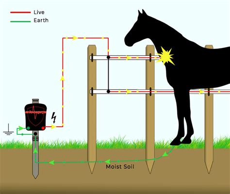 Electric Fencing Help & Advice - ShockRite