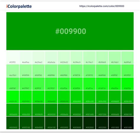 Islamic Green Color | 009900 information | Hsl | Rgb | Pantone