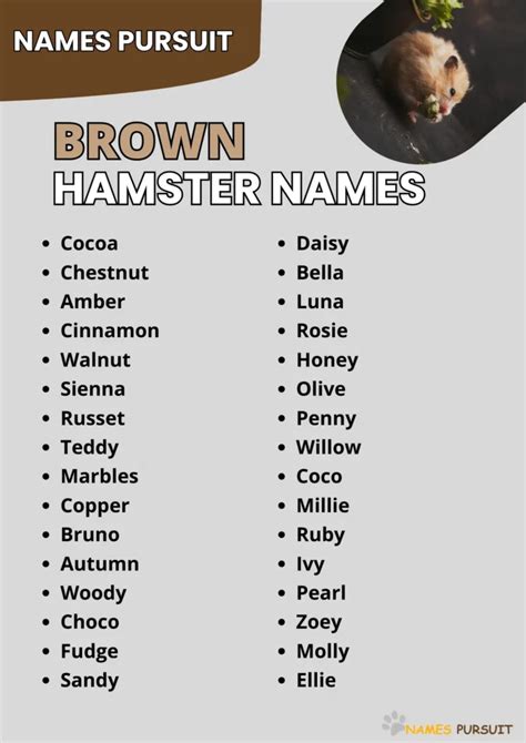 180+ Brown Hamster Names [Find the Perfect Fit]