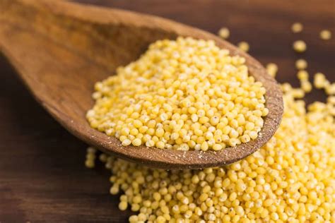 Ingredient Spotlight: Millet