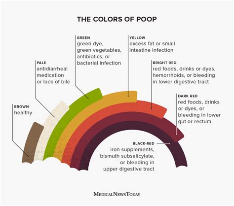 Yellow stool: 8 causes