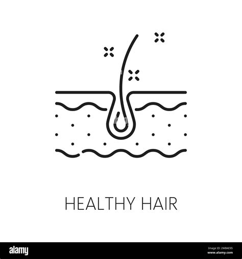 Healthy hair care and treatment thin line icon. Haircare cosmetology or bathroom cosmetics ...