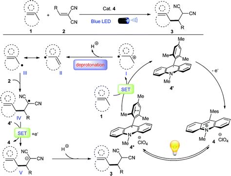 Metal-free direct alkylation of unfunctionalized allylic/benzylic sp 3 C–H bonds via photoredox ...