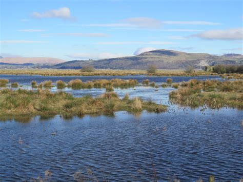 Site of the Month: Wigtown Bay (February 2023) - SWSEIC