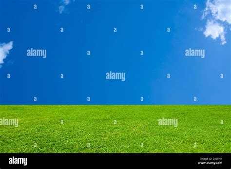 Emerald Green Grass with a Cerulean Blue Sky Stock Photo - Alamy