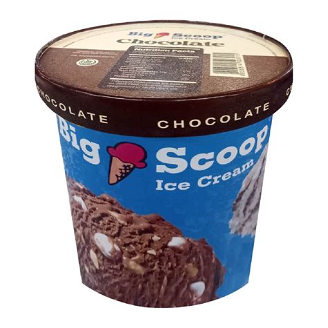 Big Scoop Chocolate Ice Cream Pint 473ml