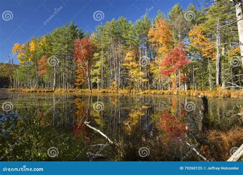 Reflections of Bright Fall Foliage in Plymouth, New Hampshire. Stock Image - Image of quincy ...