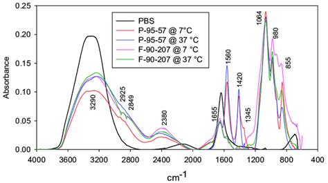 FTIR spectra: Peaks at 1345, 1420, 1560, 1655 and 3290 cm −1 confirm ...