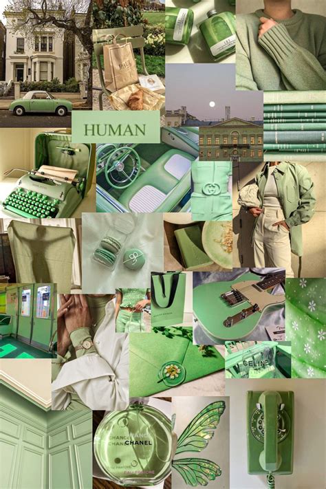 Sage Green Collage Wallpapers - Wallpaper Cave