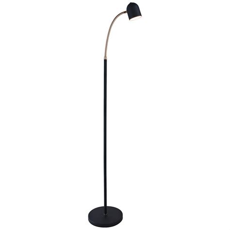 Lite Source Tiara Black and Brass LED Gooseneck Floor Lamp - #69F98 | Lamps Plus