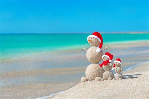 Pin by Judy Smith on BEACH IT ! | Beach christmas pictures, Christmas pictures, Tropical christmas