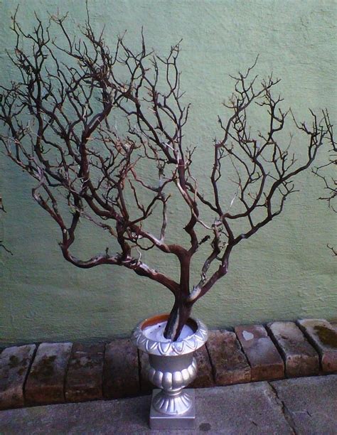 Manzanita Manzanita Branches Manzanita Branch by SweetSylDesigns