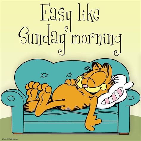 22 Lazy Morning Quotes – Amazing Cool Products & Gadgets | Sunday quotes funny, Garfield cartoon ...