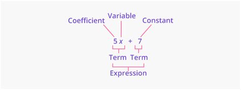 What is Term? - Definition, Facts & Example