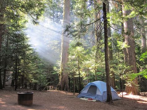 Last-Minute Summer Camping Guide | Save the Redwoods League