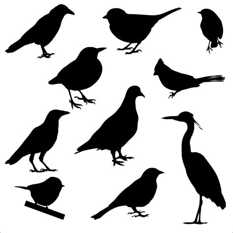 Bird Silhouettes Free Stock Photo - Public Domain Pictures