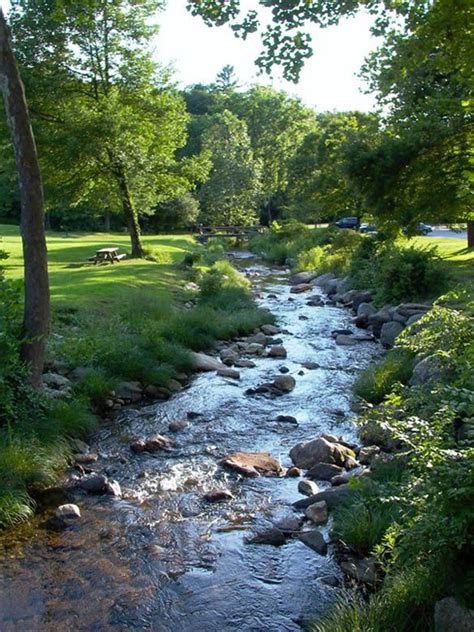 Natural Stream | Beautiful nature, Nature photography, Beautiful landscapes