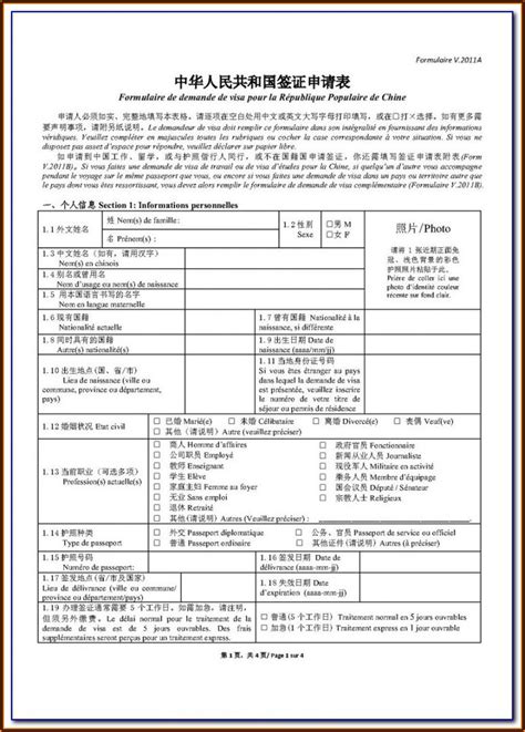 China Embassy Visa Application Form Pdf - Form : Resume Examples ...