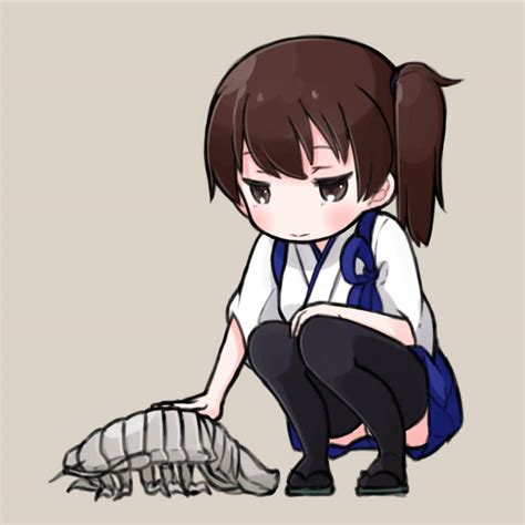 A giant isopod and Kaga-san. by 中篠 | Isopods | Know Your Meme