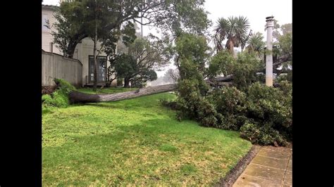 Photos: San Diego Storm damage | cbs8.com