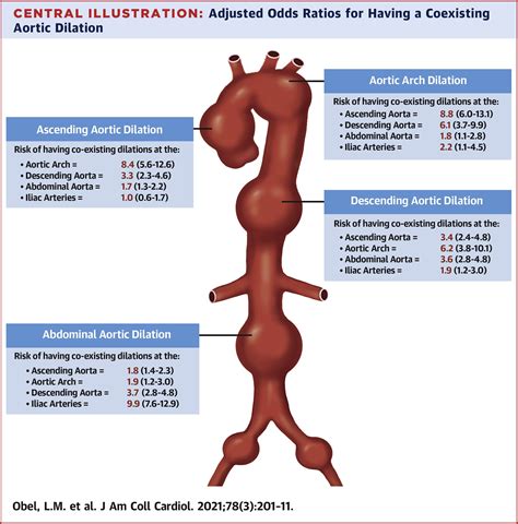 Population-Based Risk Factors for Ascending, Arch, Descending, and Abdominal Aortic Dilations ...