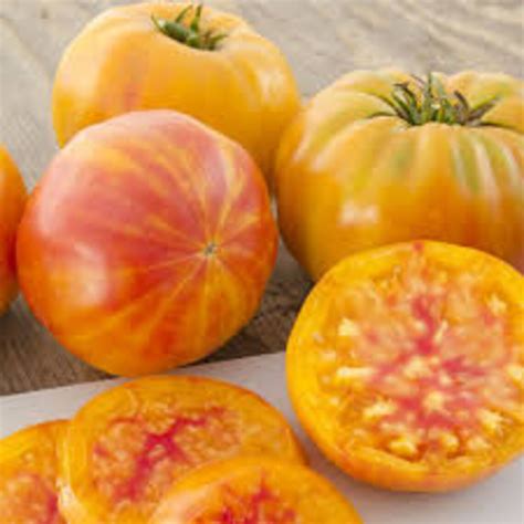 Big Rainbow Heirloom Tomato Seeds 20 Count - Etsy UK