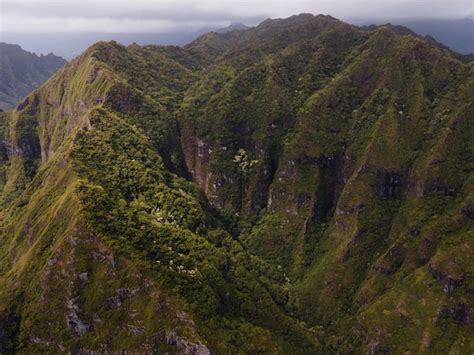 Free Photo | Tropical hawaii landscape with mountain view