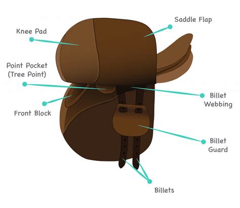 Horse Saddles & Parts Guide. Free Saddle Learning Games. - Allpony