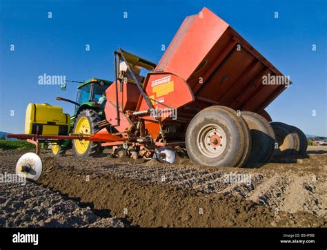 A GPS guided tractor planting potatoes with a four row planter in the ...