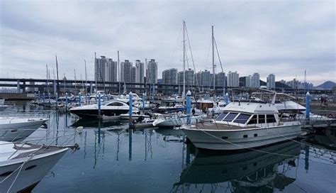 BEST Busan Tour! Busan Night View Yacht Tour with Barbecue | INDIWAY