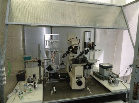 9. Patch clamp setup in the Biophysics institute, CNR, housed in a... | Download Scientific Diagram