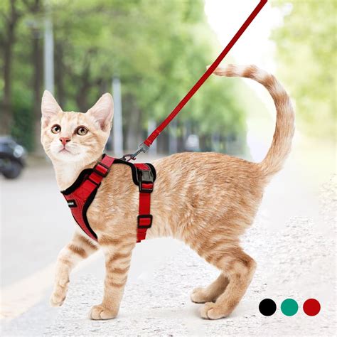 Rabbitgoo Cat Harness and Leash Set for Walking Escape Proof with 59 ...