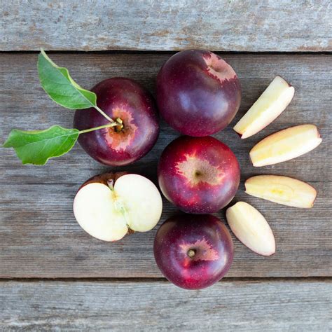 Organic Arkansas Black Apples - Frog Hollow Farm