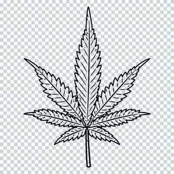 Cannabis Leaf Outline