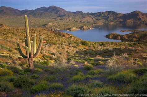 Bartlett Lake | Photos by Ron Niebrugge