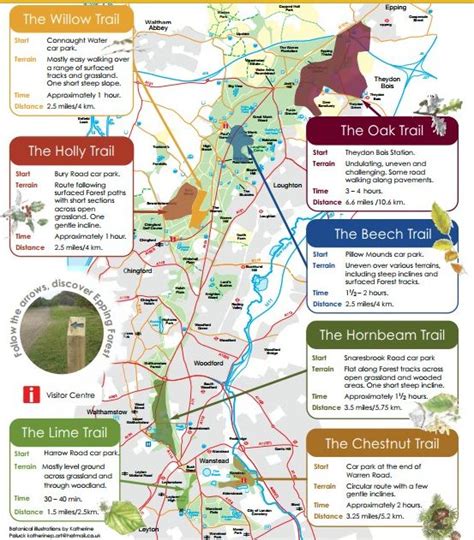 Walks And Walking - Way Marked Trails in Epping Forest Walks And ...