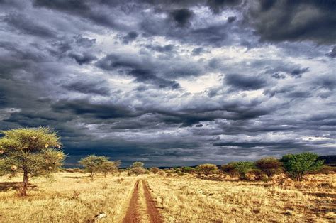 11 Days The Best Namibia Safari Tour | Trip Ways