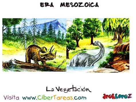 La Vegetación – Era Mesozoica | CiberTareas